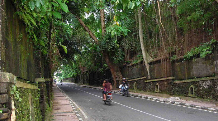 ubud-bali-roads-djungle-ind_4-1