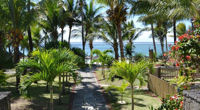 veranda-palmar-beach-palms_4