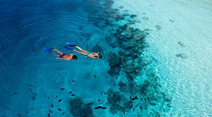 vilamendhoo-snorkelings_4-1