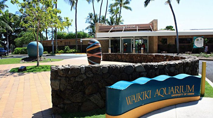 waikiki-aquarium_4