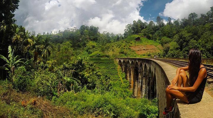 Ella-Train-Rail-Forest-Jungle-Trainspotting