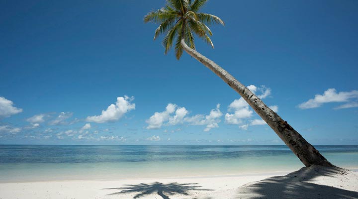 Four-Seasons-Desroches-Palm-Palmtree-Lagoon-Lagun