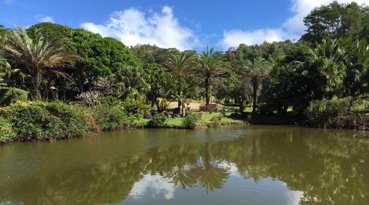 Lakaz-Chamarel-Lake