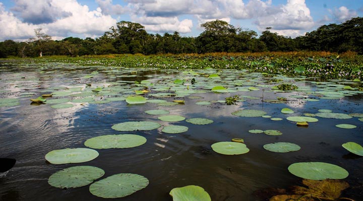 Sri-Lanka-Habarana-Lake-Sjo-Safari