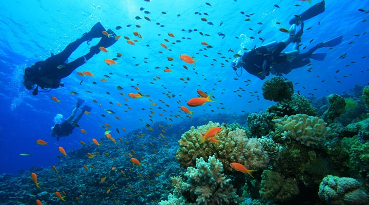 Thaproban-Pavilion-Waves-Dive-Dyk-Dyka-Unawatuna.jpg