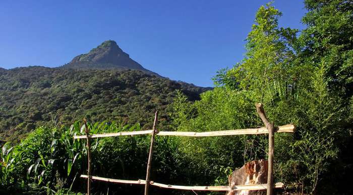 adams-peak-sri-lanka_4