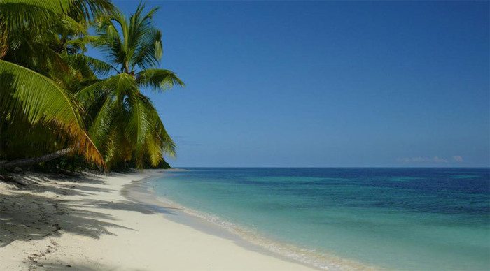 desroches-palms-seychelles_4-1