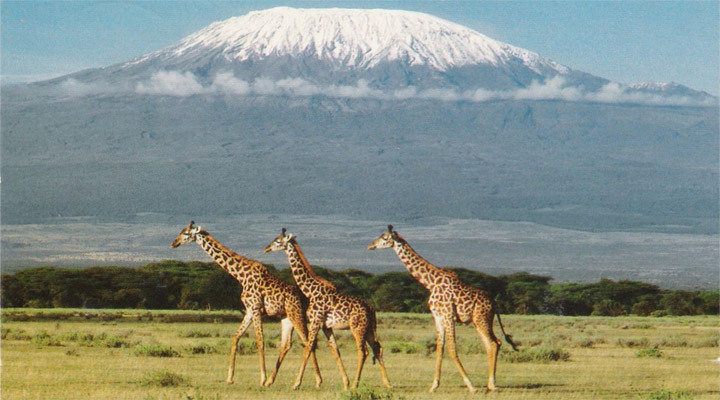 kilimanjaro-2.jpg