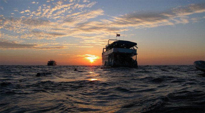 similan-night-thailand_4.jpg